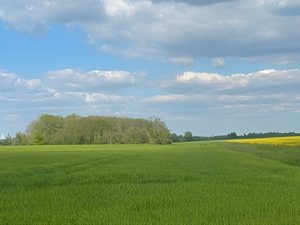Estimation des domaines ruraux, terres agricoles pour cession, succession, sortie d’indivision, donation, évaluation ISF.